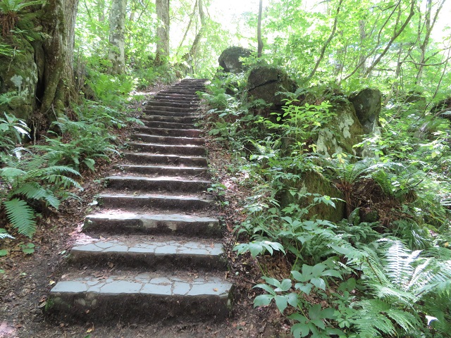 奥入瀬歩道階段